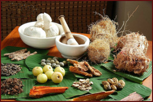 CORSO DI FITOTERAPIA AYURVEDICA
